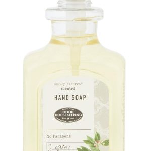 17 oz Citrus Lemon Hand Soap