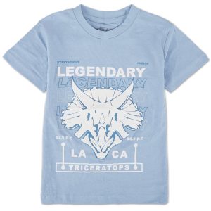 Little Boys Logo Graphic Tee