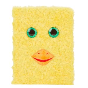 Watch Out Chicken Story Book